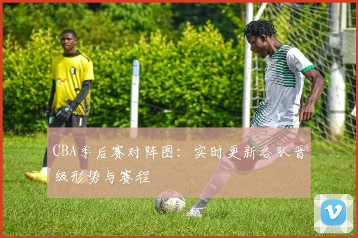 CBA季后赛对阵图:实时更新各队晋级形势与赛程