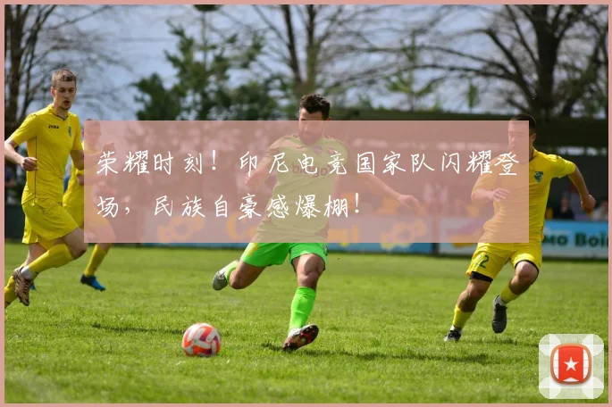 荣耀时刻!印尼电竞国家队闪耀登场,民族自豪感爆棚!